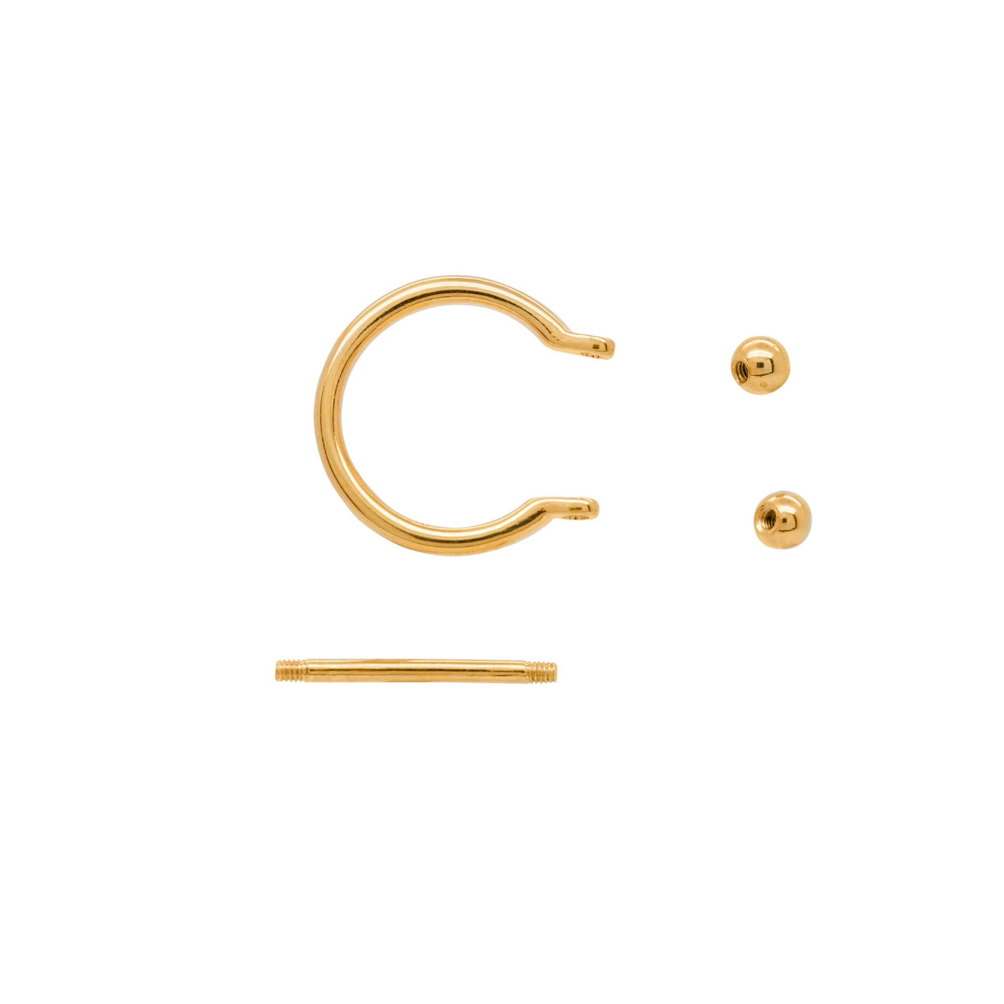 Set of 24k gold vermeil conch jewelry including one hoop and one straight barbell.
