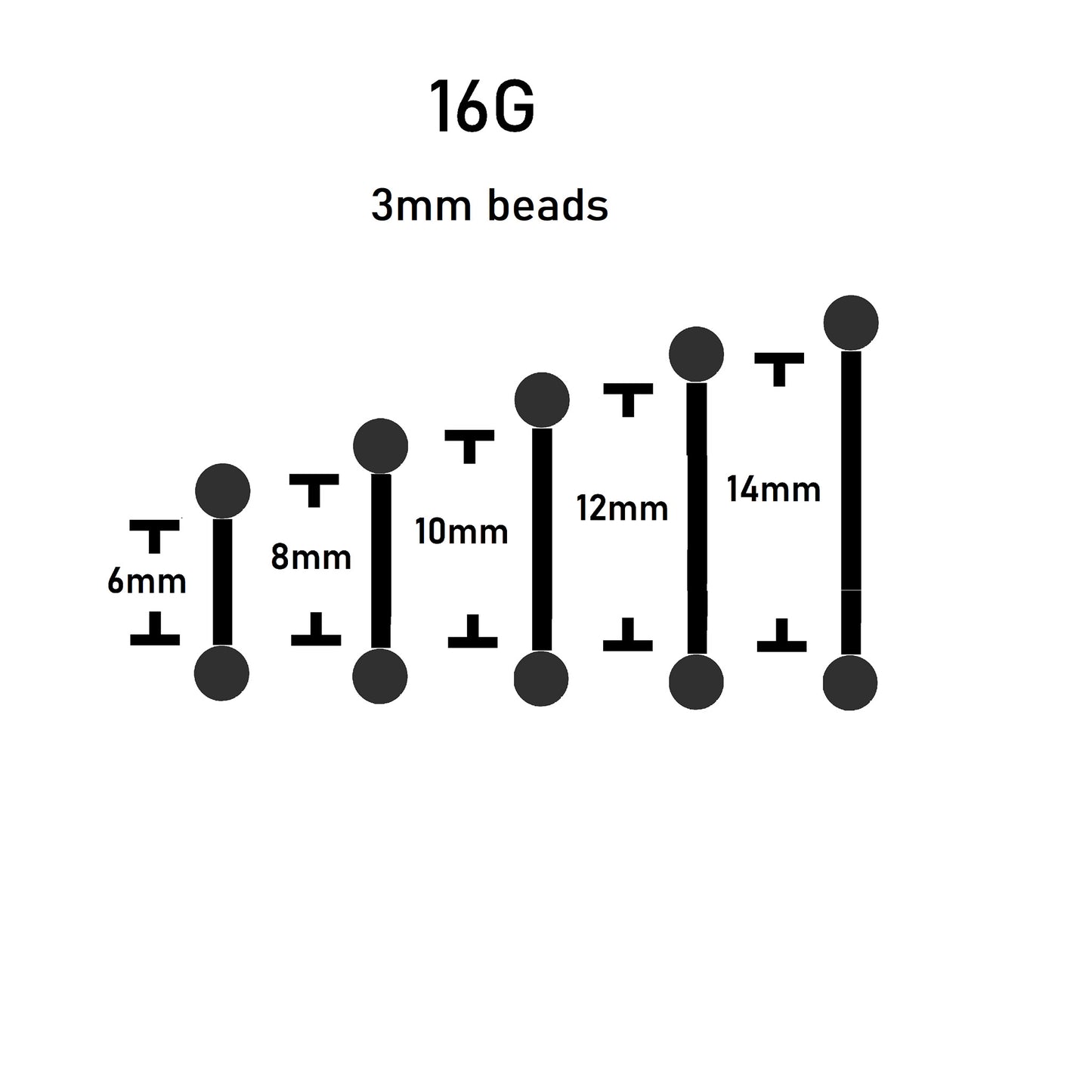 sizes straight barbell