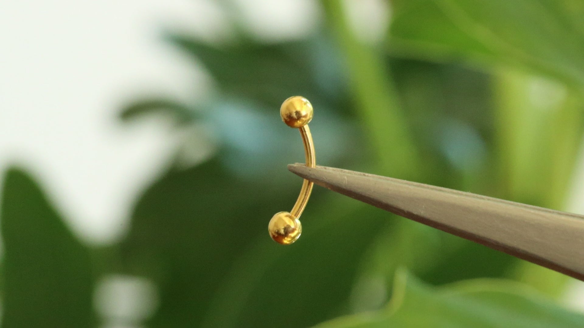 plain rook earring