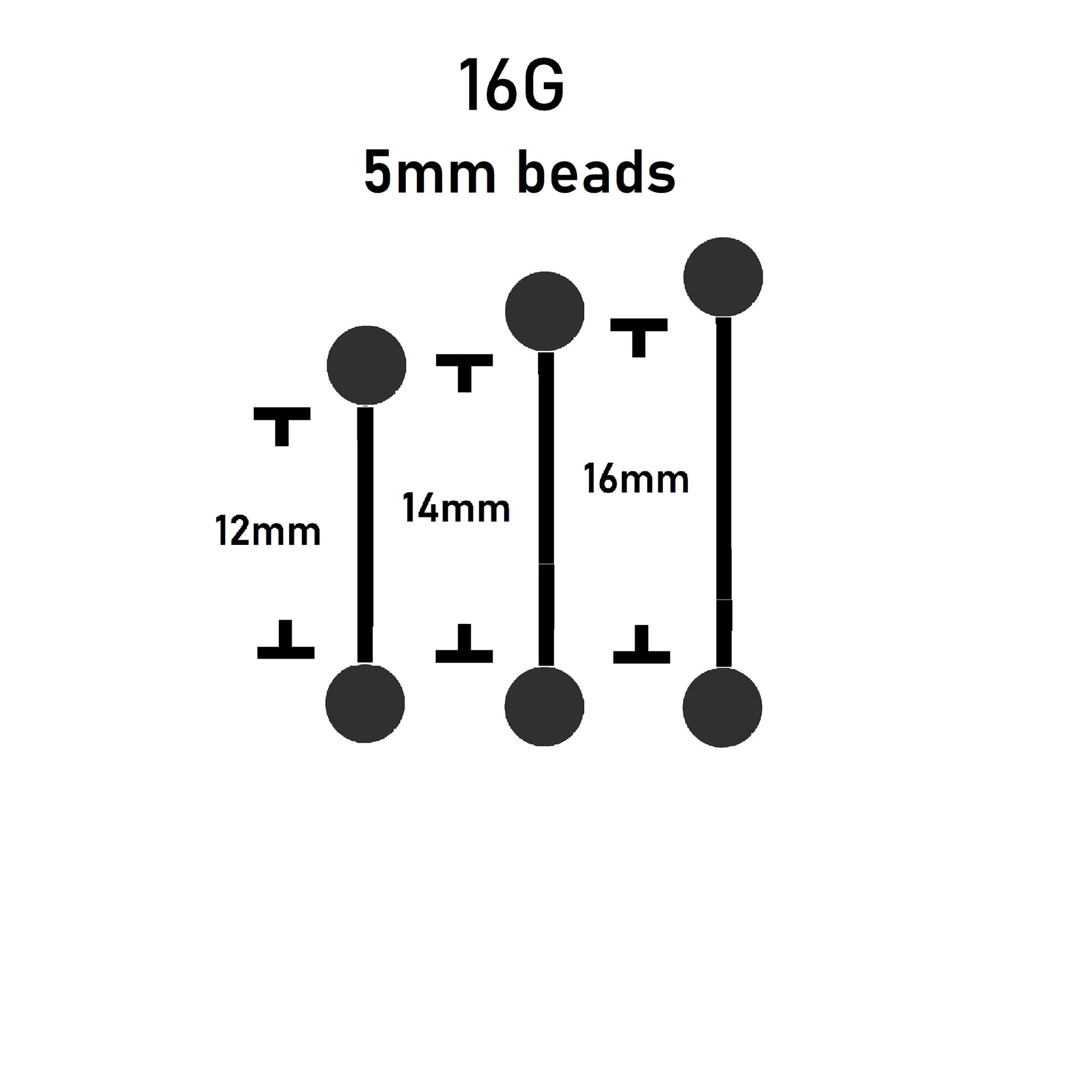 straight barbell sizes